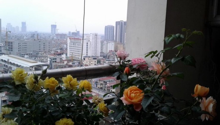 Cho thuê Ở NHÓM 4 NGƯỜI, HỘ GĐ căn hộ CC Nàng Hương Nguyễn Trãi, DT 100m2 - 3PN - 2WC